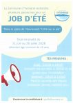 Job été 2026.jpg